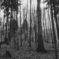 We Deserve This : You​'​re Right, We Deserve This